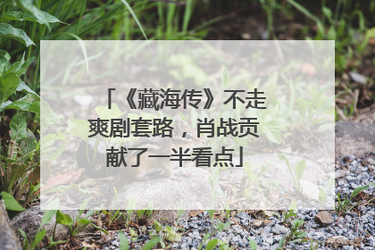 《藏海传》不走爽剧套路，肖战贡献了一半看点
