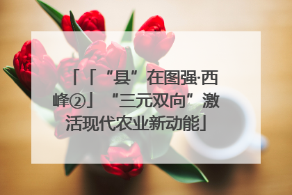 「“县”在图强·西峰②」“三元双向”激活现代农业新动能