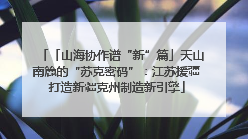 「山海协作谱“新”篇」天山南簏的“苏克密码”：江苏援疆打造新疆克州制造新引擎