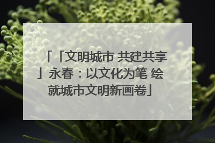 「文明城市 共建共享」永春：以文化为笔 绘就城市文明新画卷