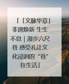 「文脉华章」非遗焕新 生生不息｜漫步六尺巷 感受礼让文化浸润的“巷”往生活
