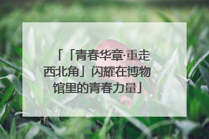 「青春华章·重走西北角」闪耀在博物馆里的青春力量