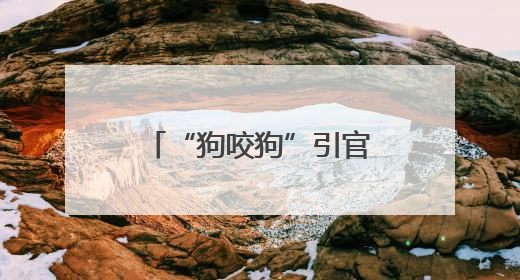 “狗咬狗”引官司，狗主人屡次不牵狗绳担全责