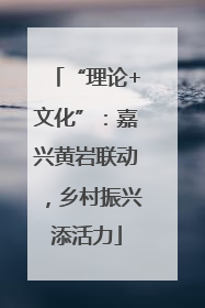 “理论+文化”：嘉兴黄岩联动，乡村振兴添活力