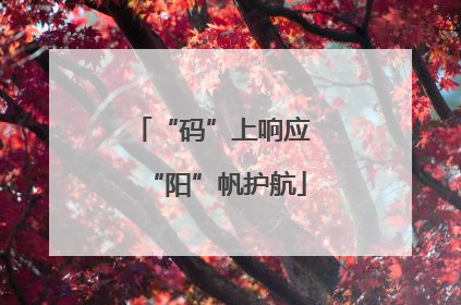 “码”上响应 “阳”帆护航