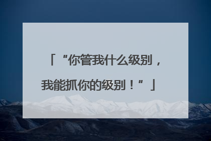 “你管我什么级别，我能抓你的级别！”