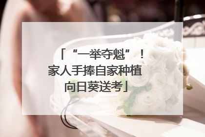 “一举夺魁”！家人手捧自家种植向日葵送考