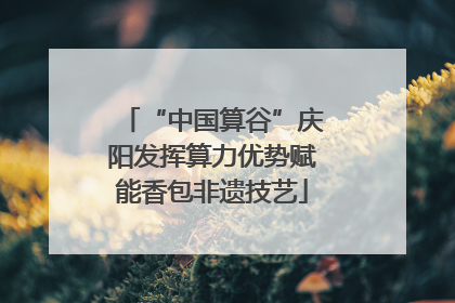 “中国算谷”庆阳发挥算力优势赋能香包非遗技艺