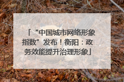 “中国城市网络形象指数”发布！衡阳：政务效能提升治理形象