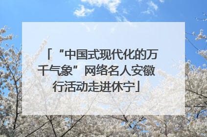 “中国式现代化的万千气象”网络名人安徽行活动走进休宁