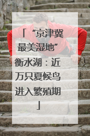 “京津冀最美湿地”衡水湖：近万只夏候鸟进入繁殖期