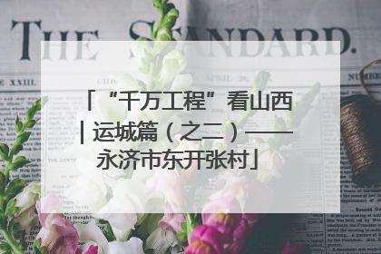 “千万工程”看山西｜运城篇（之二）——永济市东开张村