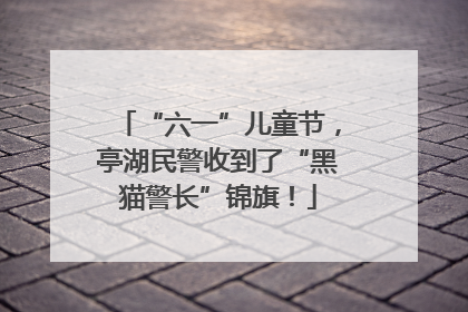 “六一”儿童节，亭湖民警收到了“黑猫警长”锦旗！