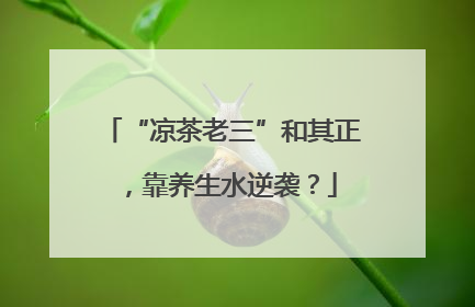 “凉茶老三”和其正，靠养生水逆袭？