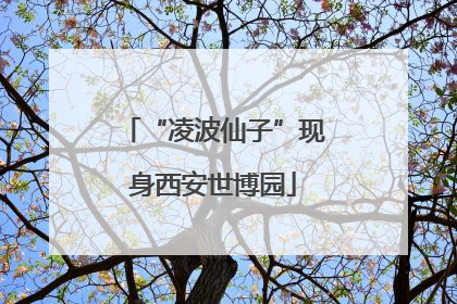 “凌波仙子”现身西安世博园