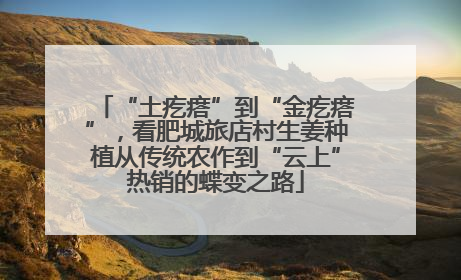 “土疙瘩”到“金疙瘩”，看肥城旅店村生姜种植从传统农作到“云上”热销的蝶变之路