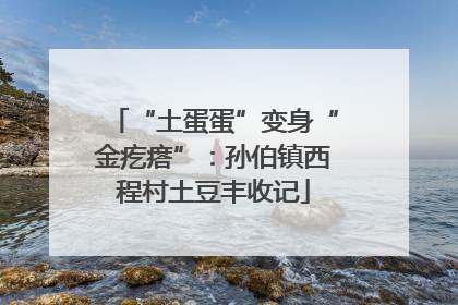 “土蛋蛋”变身“金疙瘩”：孙伯镇西程村土豆丰收记