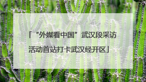 “外媒看中国”武汉段采访活动首站打卡武汉经开区