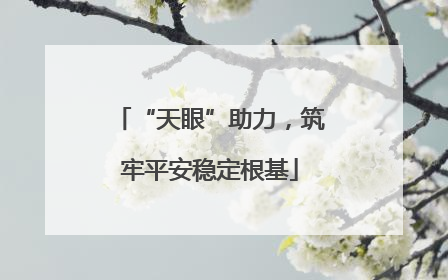 “天眼”助力，筑牢平安稳定根基