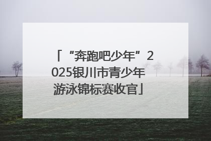 “奔跑吧少年”2025银川市青少年游泳锦标赛收官