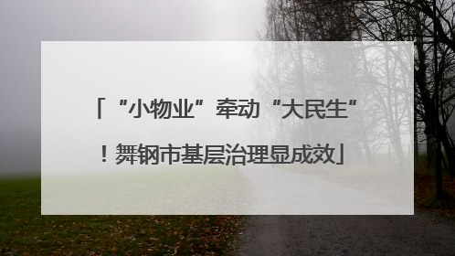 “小物业”牵动“大民生”！舞钢市基层治理显成效