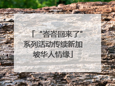 “峇峇回来了”系列活动传续新加坡华人情缘