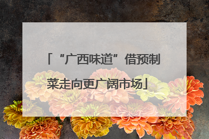 “广西味道”借预制菜走向更广阔市场
