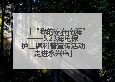 “我的家在南海”——5.23海龟保护主题科普宣传活动走进永兴岛