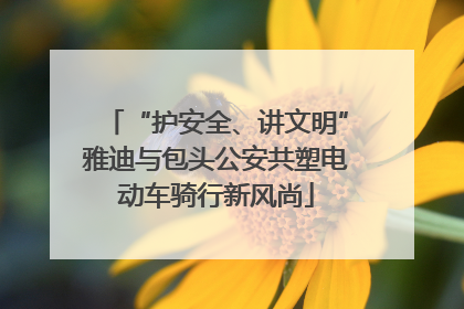 “护安全、讲文明”雅迪与包头公安共塑电动车骑行新风尚