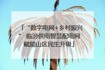 “数字电网+乡村振兴” 临汾供电智慧配电网赋能山区民生升级