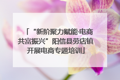 “新阶聚力赋能·电商共富振兴”阳信县劳店镇开展电商专题培训