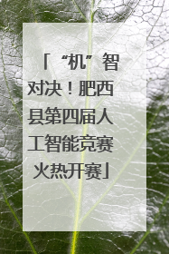 “机”智对决！肥西县第四届人工智能竞赛火热开赛