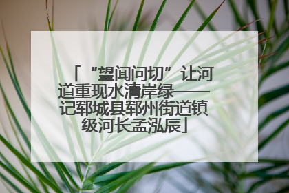 “望闻问切”让河道重现水清岸绿——记郓城县郓州街道镇级河长孟泓辰