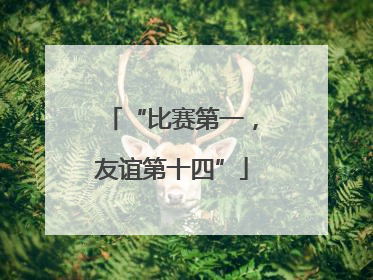 “比赛第一，友谊第十四”
