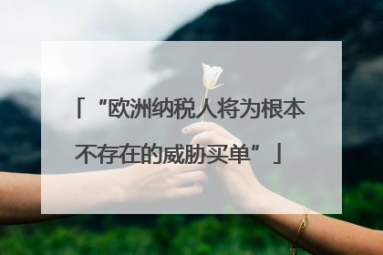 “欧洲纳税人将为根本不存在的威胁买单”