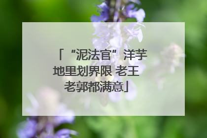 “泥法官”洋芋地里划界限 老王老郭都满意