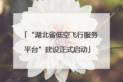 “湖北省低空飞行服务平台”建设正式启动
