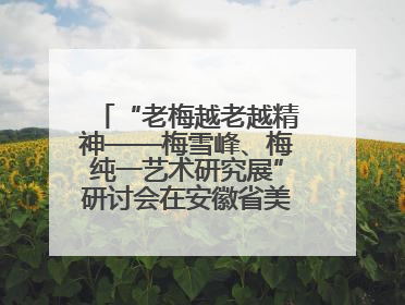 “老梅越老越精神——梅雪峰、梅纯一艺术研究展”研讨会在安徽省美术馆召开