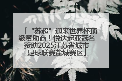 “苏超”迎来世界杯顶级赞助商！悦达起亚冠名赞助2025江苏省城市足球联赛盐城赛区