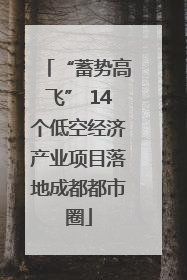 “蓄势高飞” 14个低空经济产业项目落地成都都市圈