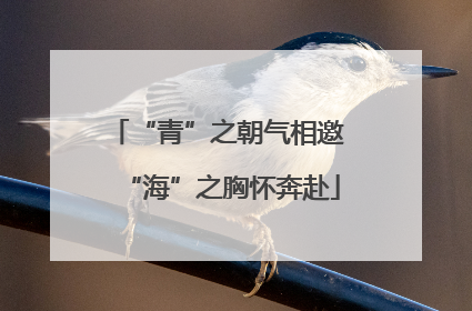 “青”之朝气相邀 “海”之胸怀奔赴