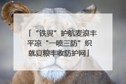 “铁翼”护航麦浪丰 平凉“一喷三防”织就夏粮丰收防护网