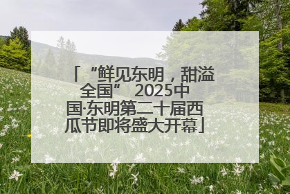 “鲜见东明，甜溢全国” 2025中国·东明第二十届西瓜节即将盛大开幕