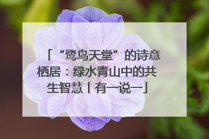 “鹭鸟天堂”的诗意栖居：绿水青山中的共生智慧丨有一说一