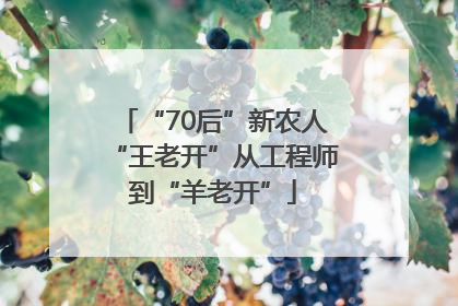 “70后”新农人“王老开”从工程师到“羊老开”
