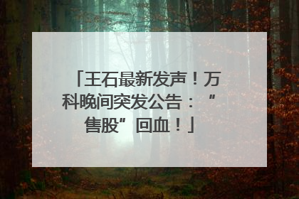 王石最新发声！万科晚间突发公告：“售股”回血！