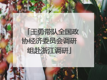 王勇带队全国政协经济委员会调研组赴浙江调研