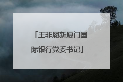 王非履新厦门国际银行党委书记