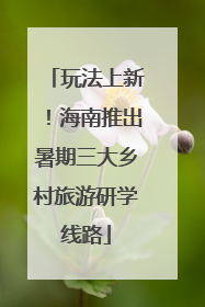 玩法上新！海南推出暑期三大乡村旅游研学线路