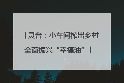 灵台：小车间榨出乡村全面振兴“幸福油”